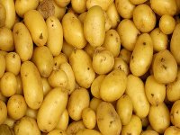 Approvisionnement des wilayas du Sud en pomme de terre pour faire baisser les prix (responsable)