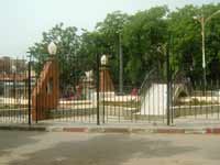 « Espèces vitales » en voie d'extinction