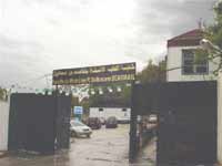 Les cancers colorectaux passés au crible