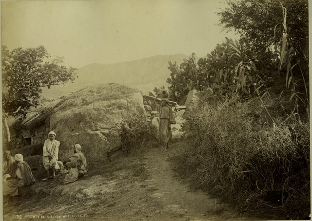 لي جدو مثيل جدي