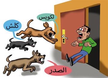 الكلاب الضالة بالمدية شر يتربص بحياة التلاميذ أمام صمت الجهات المسؤولة