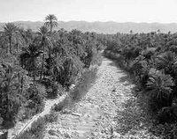 Le secteur agricole à booster