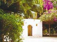 Espaces verts à Biskra : Fermeture du jardin Landon