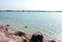 Vers le reboisement de 650 ha près du barrage Tabia Sidi Bel Abbès