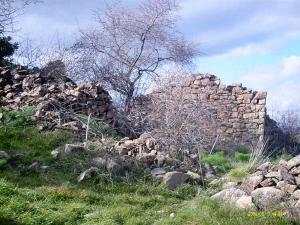cadeau pour l'Algérie