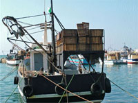 Algérie / Ils réclament justice 56 pêcheurs escroqués