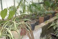 Nouveaux dispositifs attractifs