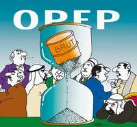 Certains de ses membres demandent la tenue d'une réunion extraordinaire : Bras de fer au sein de l'Opep