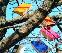 Treize ans, l'âge ingrat