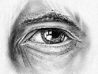 De la liberté en quotas