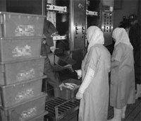 L'urgence d'une opération de sauvetage