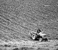 Une dynamique de croissance dans la wilaya de Bouira : Comment sauver l'agriculture '