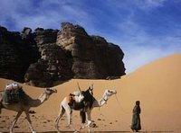 Les grandes lignes du plan qualité de l'Ahaggar et Tassili N'Ajjer