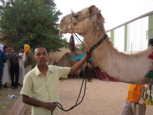 el abiodh sidi cheikh