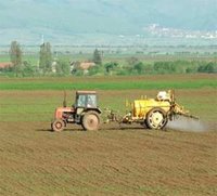 L'heure est à l'optimisme grâce à une bonne pluviométrie
