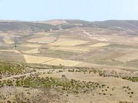 Les spécialistes plaident pour des actions concertées