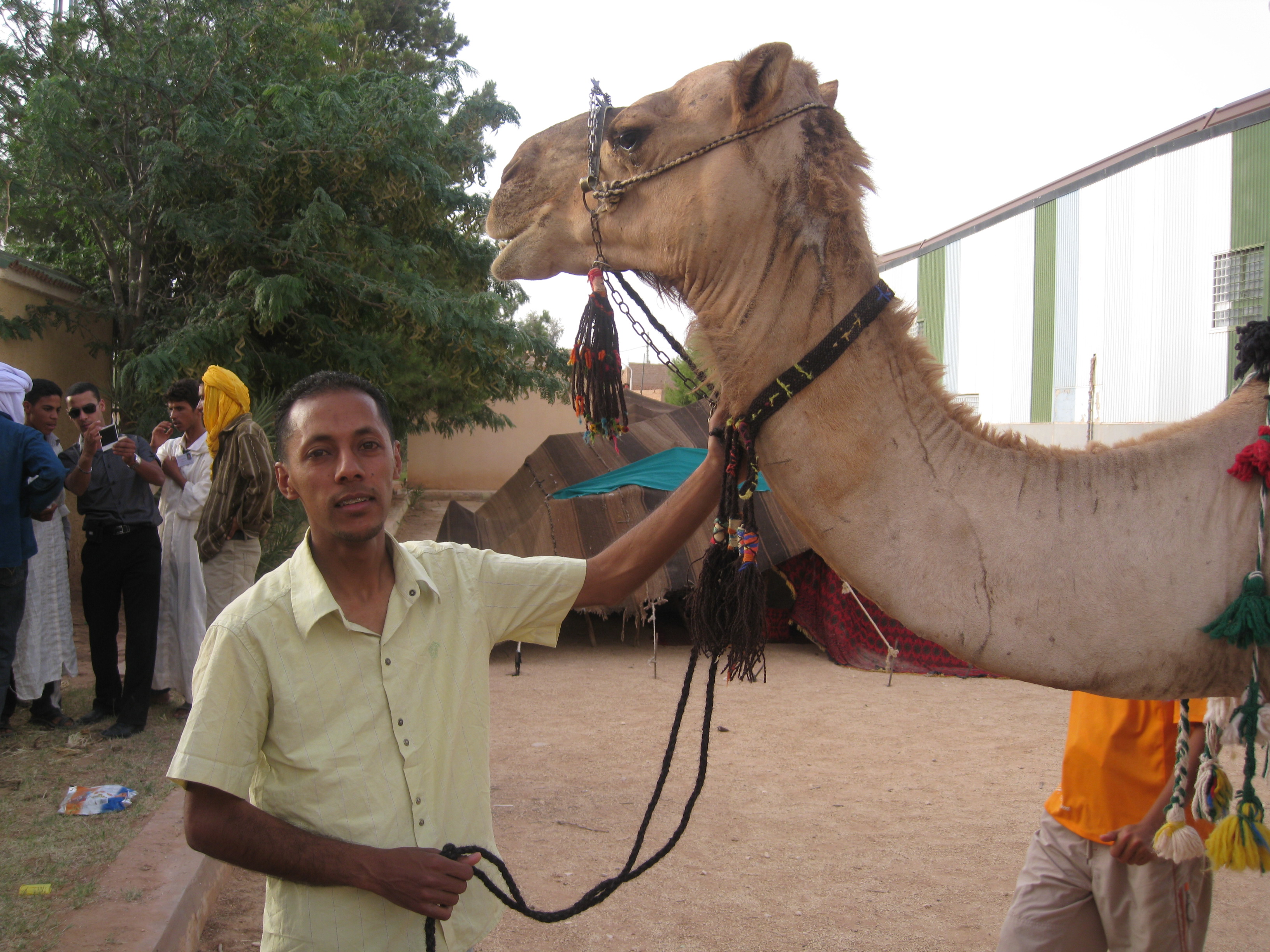 el abiodh sidi cheikh
