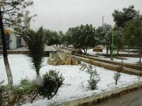 Importantes chutes de neige sur plusieurs wilayas