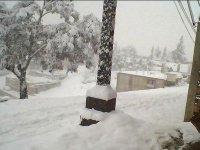 Une tempête de neige provoque la paralysie quasi totale du réseau routier à Médéa