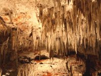 Plaidoyer pour la protection des grottes de 