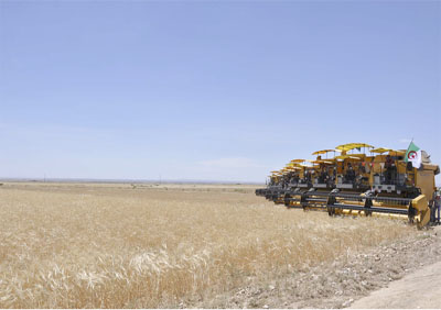 Une bonne année céréalière