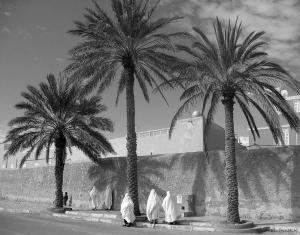 Exposition photographie et arts plastiques en fusion à Tlemcen