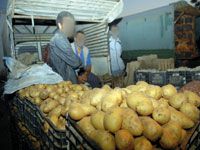 Les raisons d'une surenchère Mascara : la pomme de terre dans tous ses états