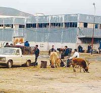 Anarchie dans les marchés de la wilaya
