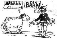 Le marché du mouton fait des siennes