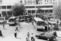 Des bus de luxe en circulation