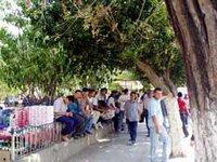 Boumerdès : Les dispositifs d'emploi se grippent