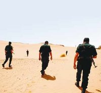 Après le démantèlement d'un réseau de trafic de drogue : Des terroristes marocains neutralisés près de Tindouf