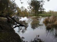 Pillage de sable et eaux débordantes au lac Fatzara