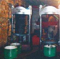 Oléiculture à Béjaïa : Les huileries tournent à plein régime