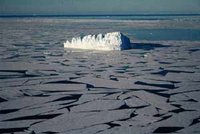 2009, l'année la plus chaude