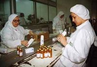 Saidal conforté dans sa stratégie