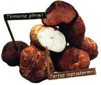 Une autre source de protéines