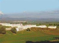 Engouement pour le logement rural