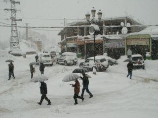La Gendarmerie met un terme à un gang de malfrats à Chéréa insécurité à Blida