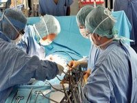 Moins de 200 transplantations rénales effectuées par an en Algérie (spécialiste)