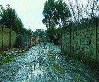 L'espoir d'une vie décente