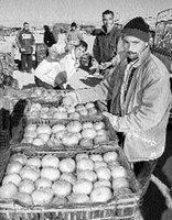 Ruinées, six conserveries risquent la vente aux enchères