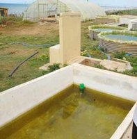 Des concessions non conformes