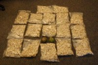 Six dealers arrêtés à Oran Trafic de cocaïne :