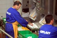 Ce que l'Algérie devrait faire pour son autosuffisance Production laitière