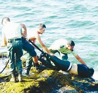 Impuissant, le gouvernement reconnaît enfin la gravité du phénomène : Les harraga mettent à nu le système