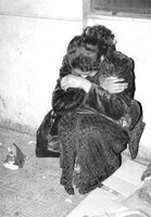 Quel sort pour Fatima '