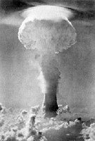 Les champignons de la mort