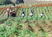 Les producteurs demandent une enquête ministérielle