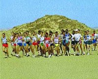 Rezkane établit le programme